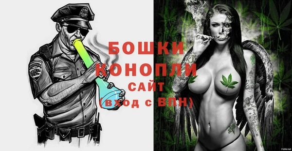 PSILOCYBIN Кукмор