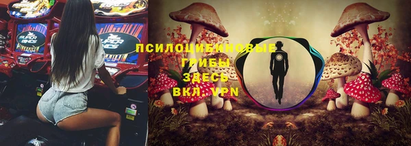 PSILOCYBIN Кукмор