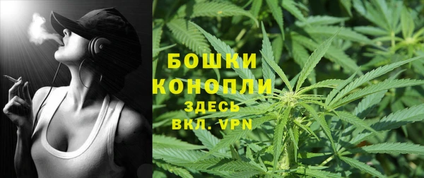 PSILOCYBIN Кукмор