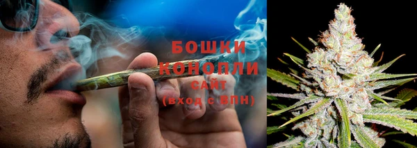 трава Кулебаки