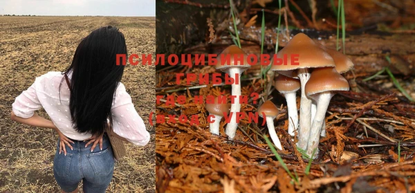 трава Кулебаки