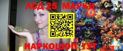 кокс Гатчина