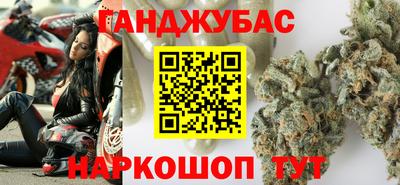 кокс Гатчина