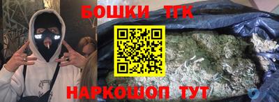 кокс Гатчина