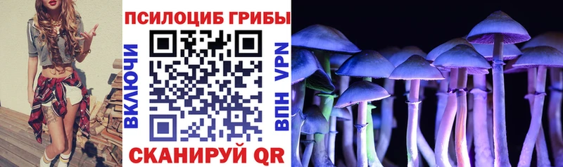Псилоцибиновые грибы прущие грибы  Череповец 