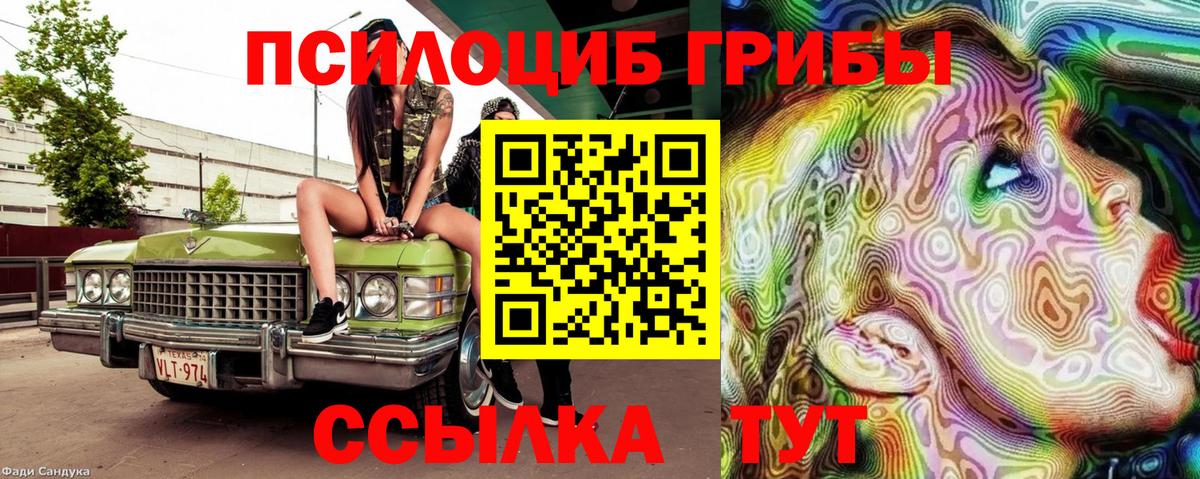 Псилоцибиновые грибы Psilocybine cubensis Череповец