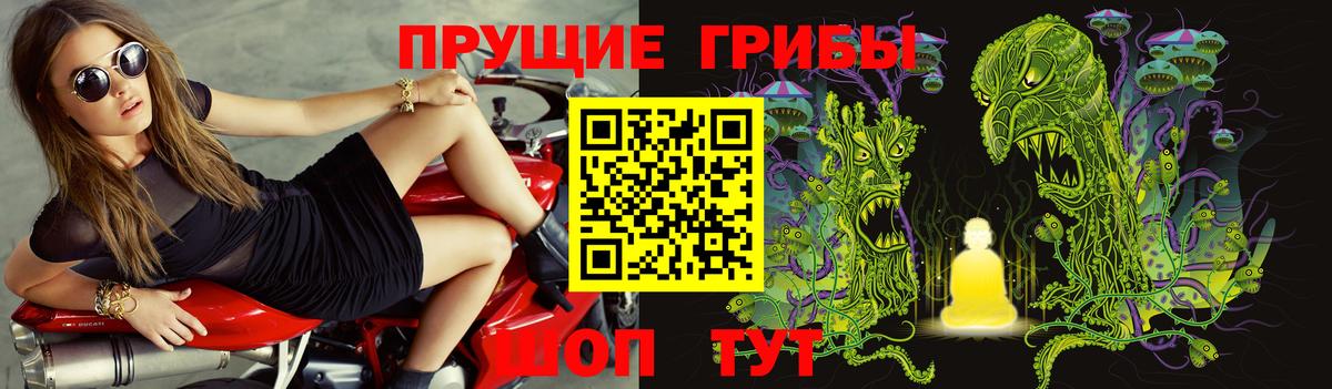 Псилоцибиновые грибы мицелий  Череповец 