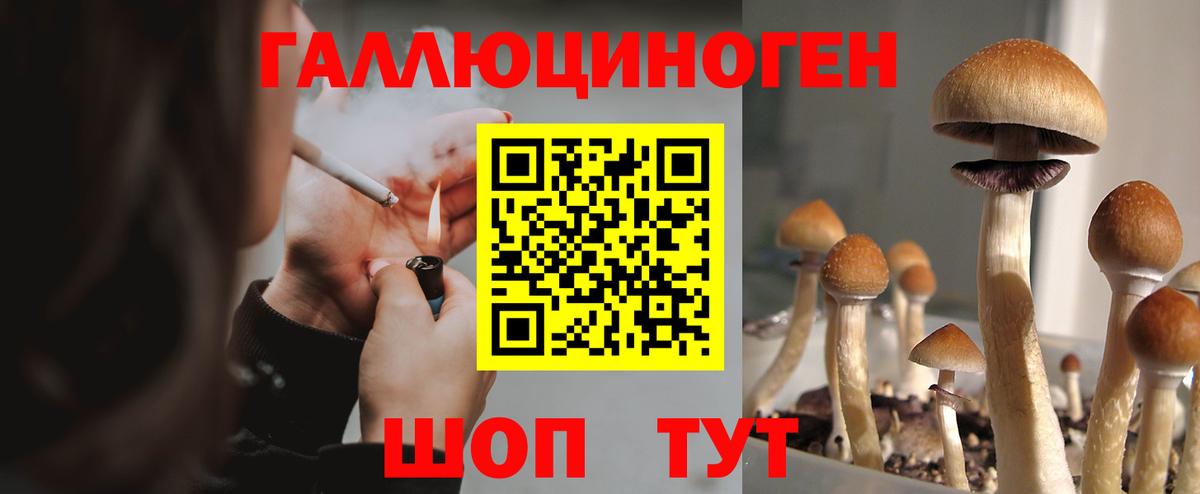 Псилоцибиновые грибы мицелий  Псилоцибиновые грибы мицелий  Череповец  Вход с VPN 